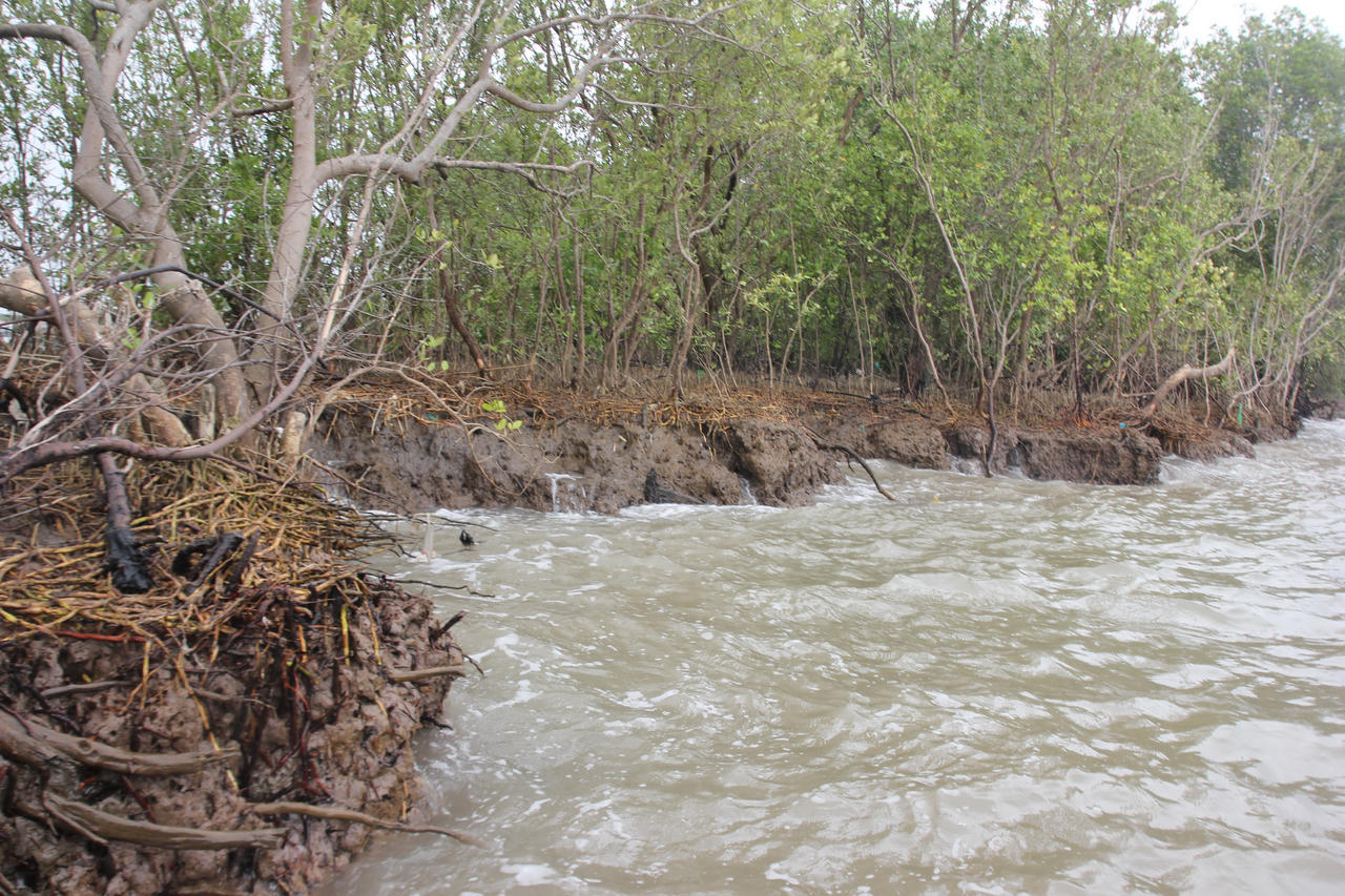 Giữ đất cho 'Mũi thuyền" Cà Mau- Bài 3: Cần một cơ chế ưu tiên