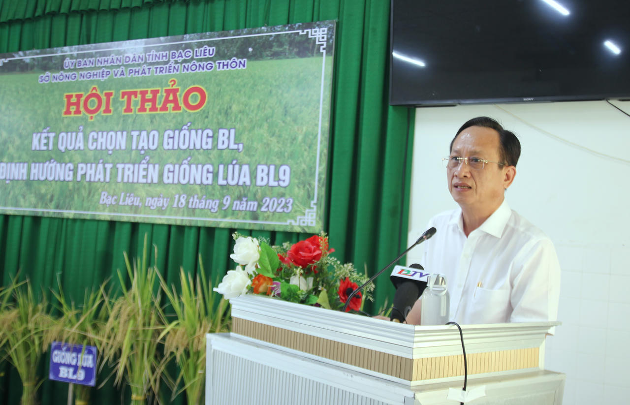 Bạc Liêu phát triển giống lúa nhiều hạt ngon cơm, thích ứng với biến đổi khí hậu