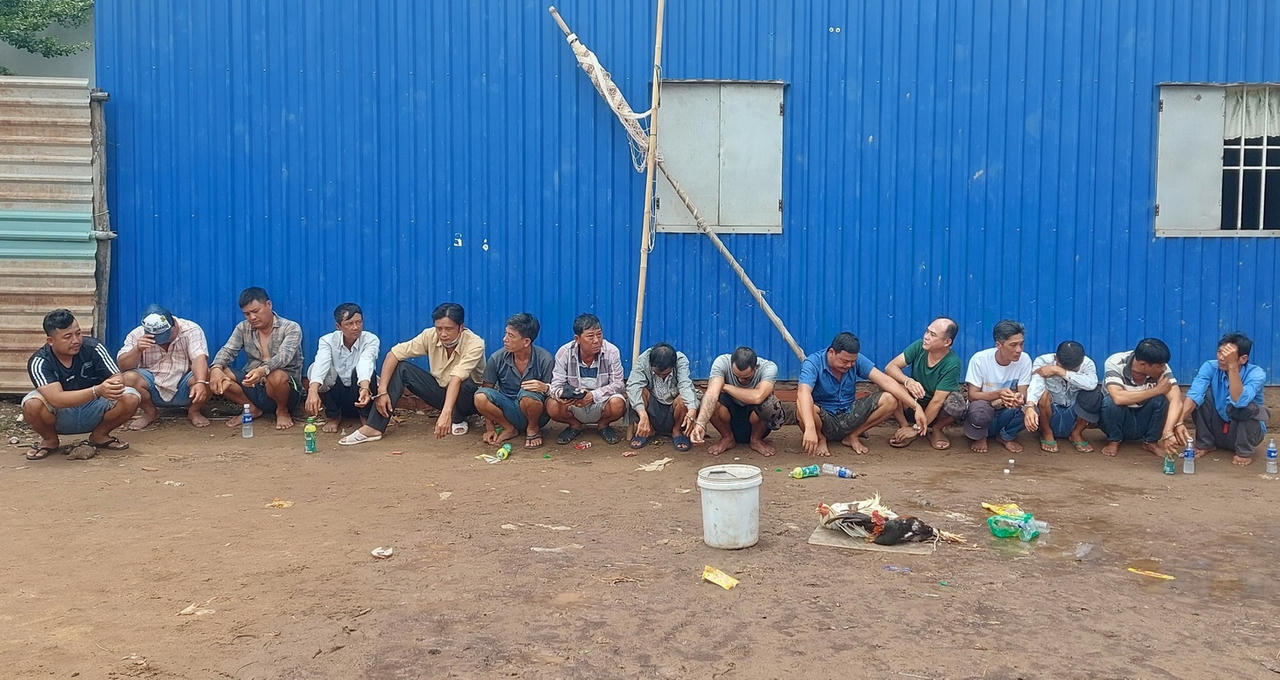 Bắt quả tang 15 đối tượng tham gia đá gà ăn tiền ở vùng quê Bạc Liêu