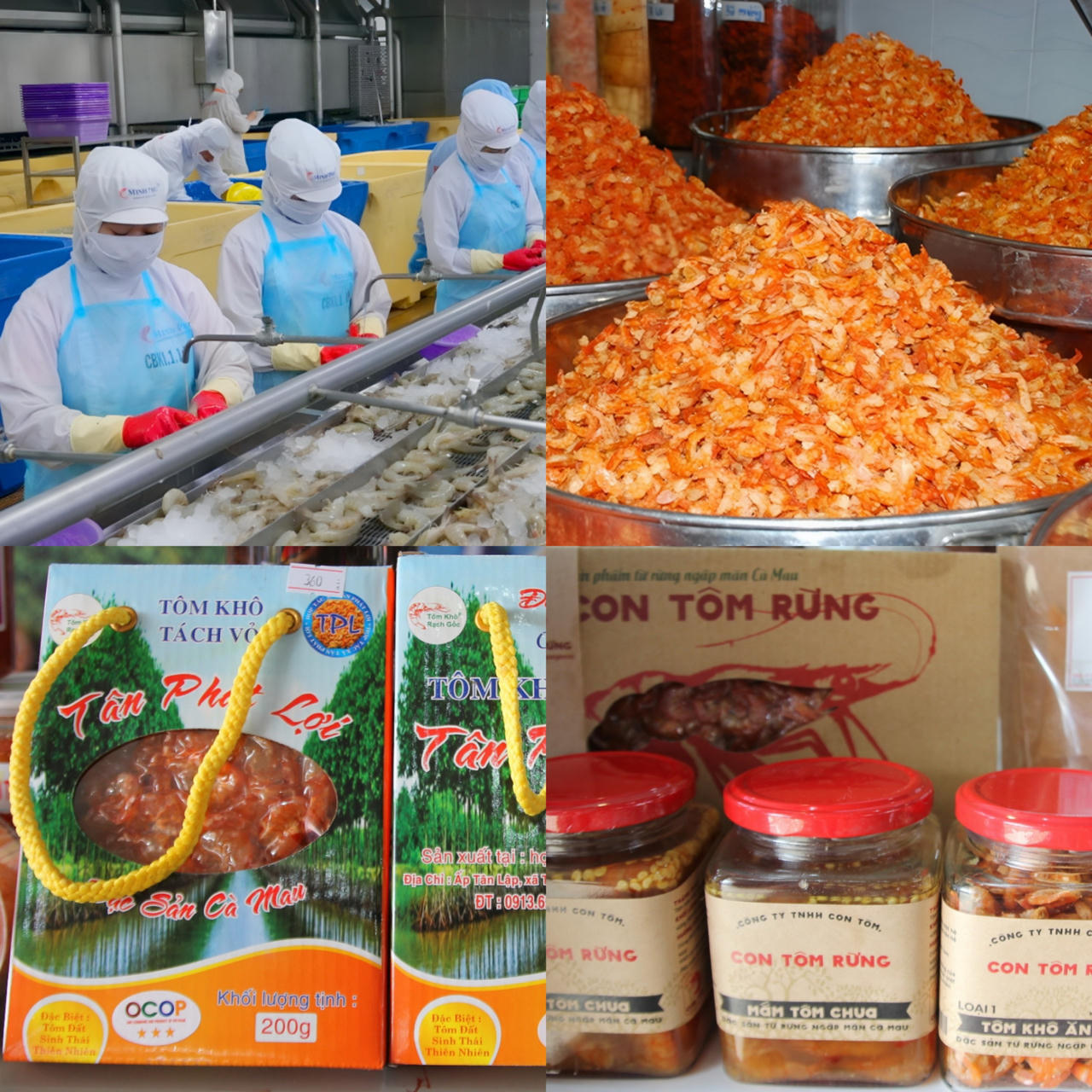 Festival Tôm Cà Mau diễn ra từ ngày 13 - 16/12/2023