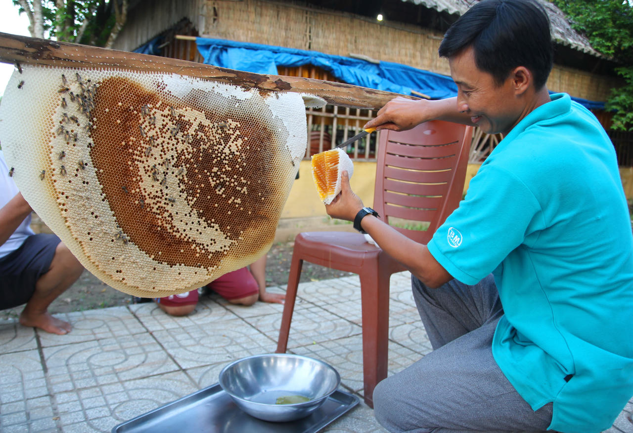 Cà Mau: Phát triển du lịch nông thôn gắn với phát huy tiềm năng, lợi thế về nông nghiệp