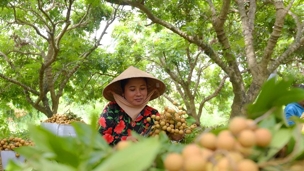 Xây dựng ngành du lịch thành phố Bạc Liêu an toàn, thân thiện và hấp dẫn