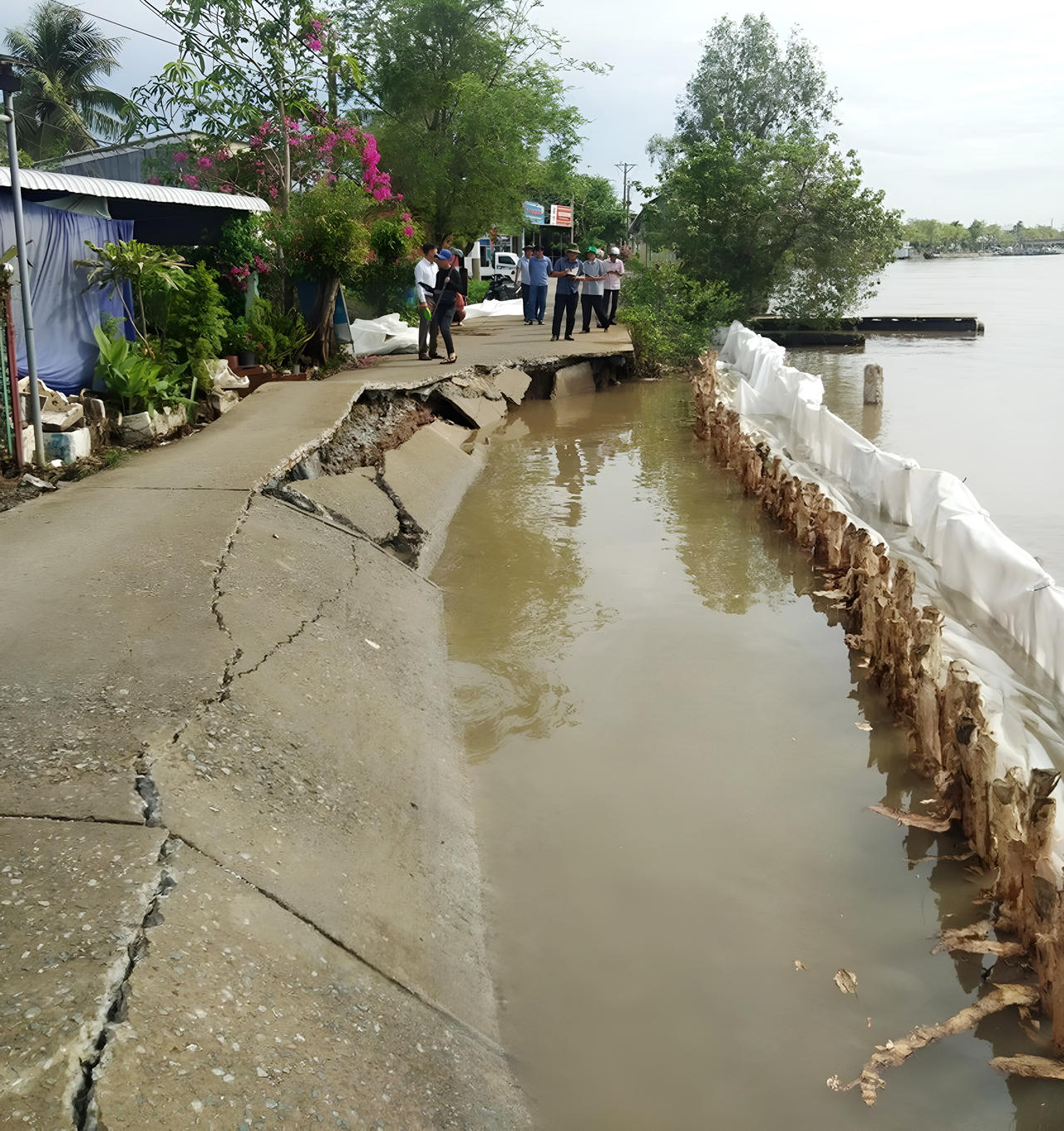 Khẩn cấp xây dựng công trình khắc phục sạt lở tuyến đường ô tô ở huyện Đầm Dơi 