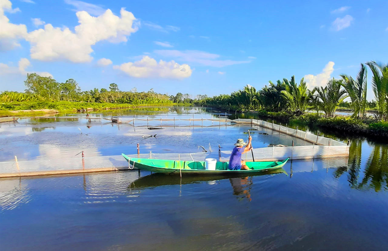 Xây dựng chuỗi giá trị ngành hàng tôm Cà Mau