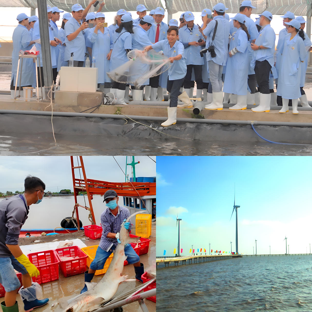 Xây dựng Bạc Liêu trở thành trung tâm công nghiệp tôm, năng lượng tái tạo của cả nước