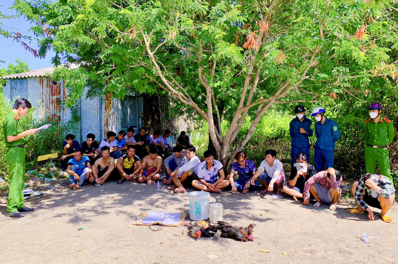 Bắt 12 đối tượng đá gà ăn tiền giữa vuông tôm giáp biển Bạc Liêu