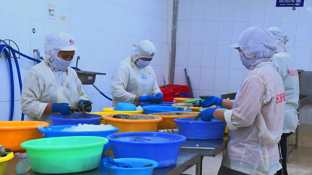 Cà Mau: Tháo gỡ khó khăn về pháp lý cho doanh nghiệp nhỏ và vừa 