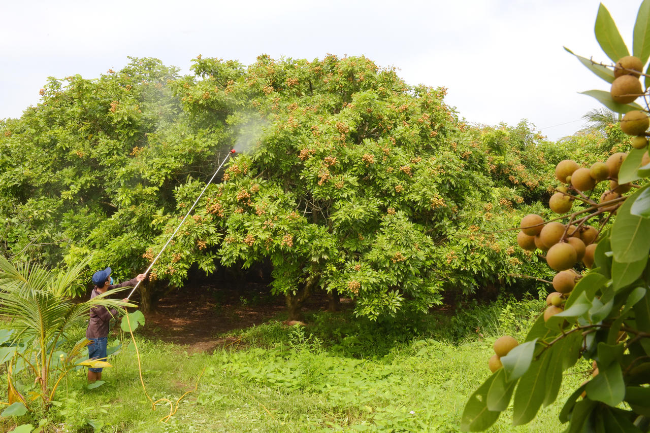 TP. Bạc Liêu sớm xây dựng sản phẩm du lịch đặc trưng gắn với phát triển du lịch cộng đồng