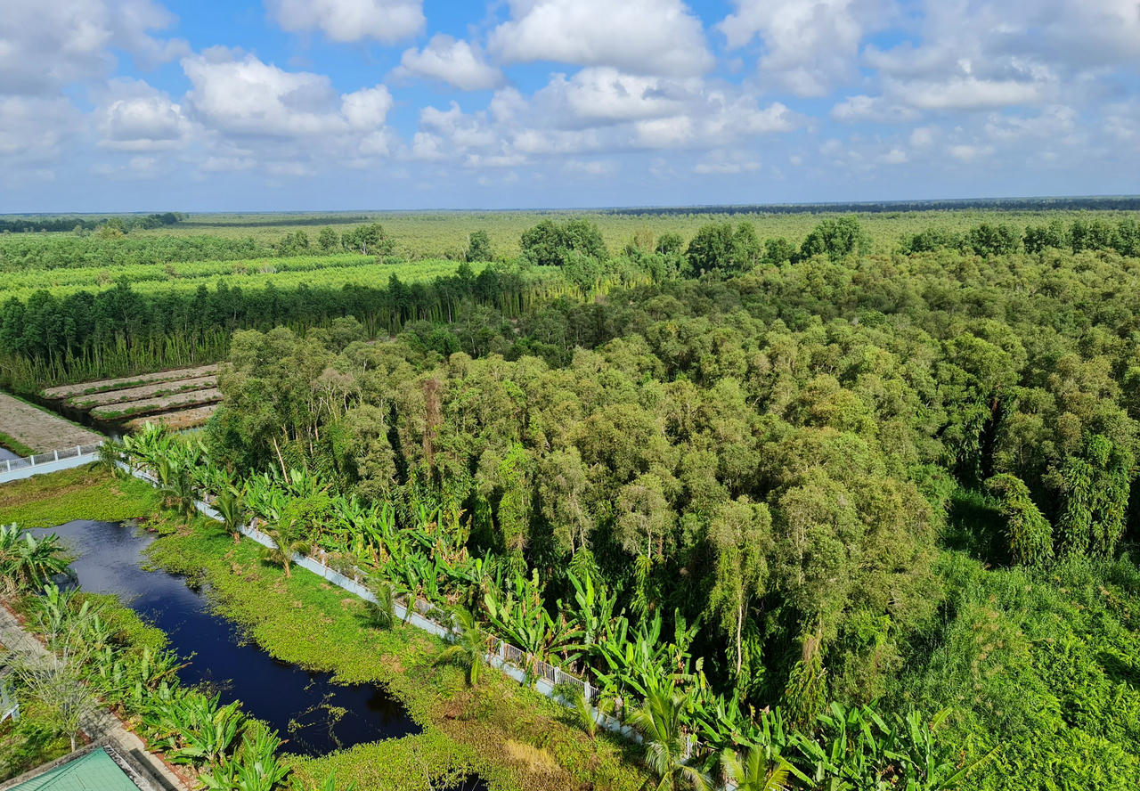 Phòng chống cháy rừng cho Vườn Quốc gia U Minh Hạ 