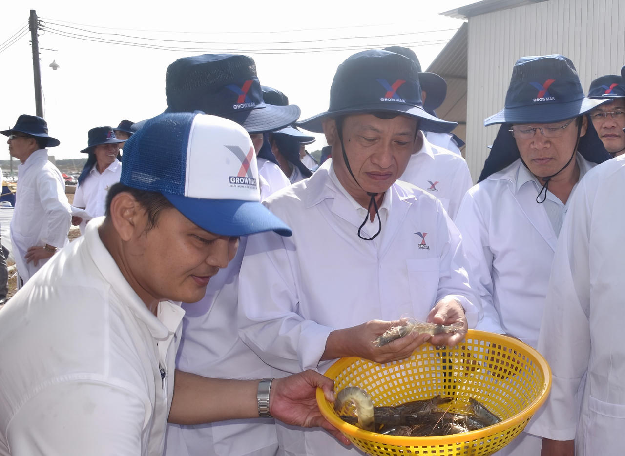 Bạc Liêu phấn đấu xuất khẩu tôm đạt 1,3 tỷ USD vào năm 2025