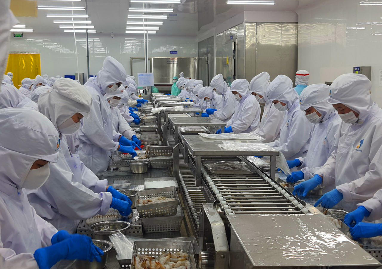 Bạc Liêu phấn đấu xuất khẩu tôm đạt 1,3 tỷ USD vào năm 2025