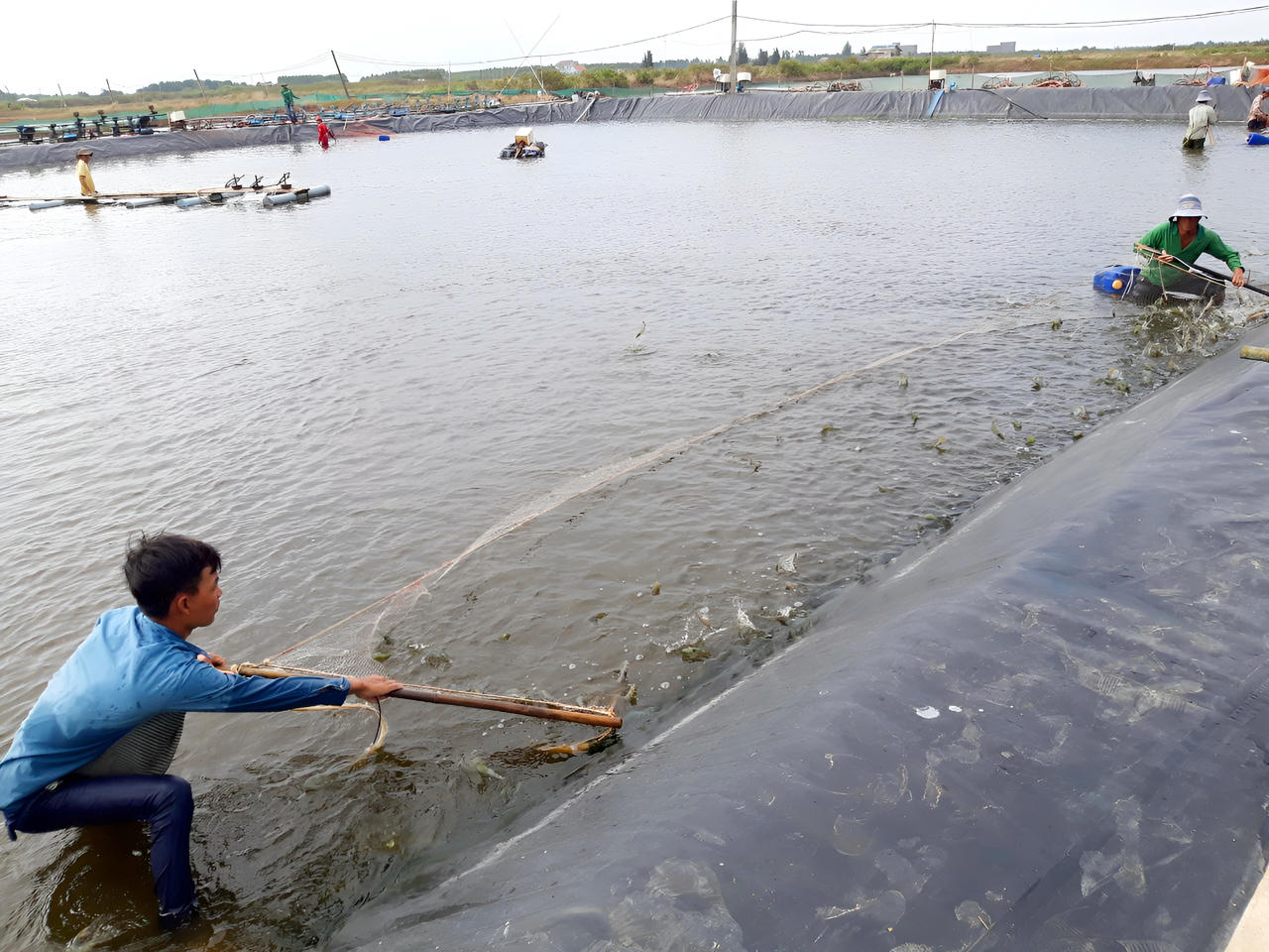 Xây dựng Đông Hải trở thành huyện trọng điểm về kinh tế biển của tỉnh Bạc Liêu
