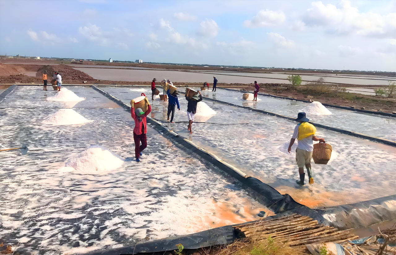 Xây dựng Đông Hải trở thành huyện trọng điểm về kinh tế biển của tỉnh Bạc Liêu