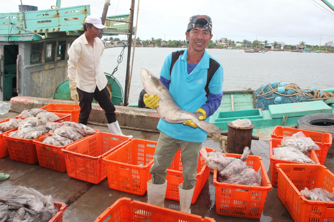 Xây dựng Đông Hải trở thành huyện trọng điểm về kinh tế biển của tỉnh Bạc Liêu