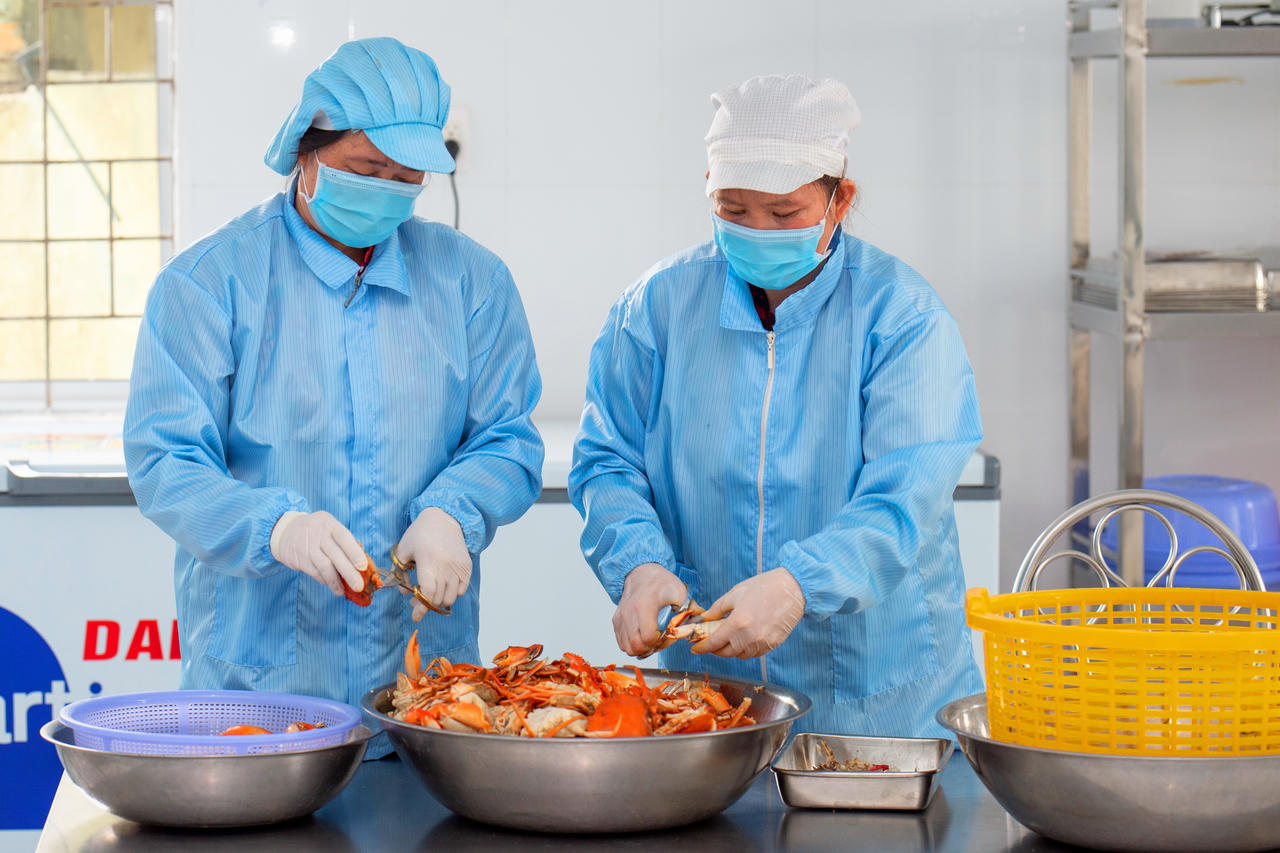 Tập trung phát triển hạ tầng, tiến tới thành lập thị xã Năm Căn