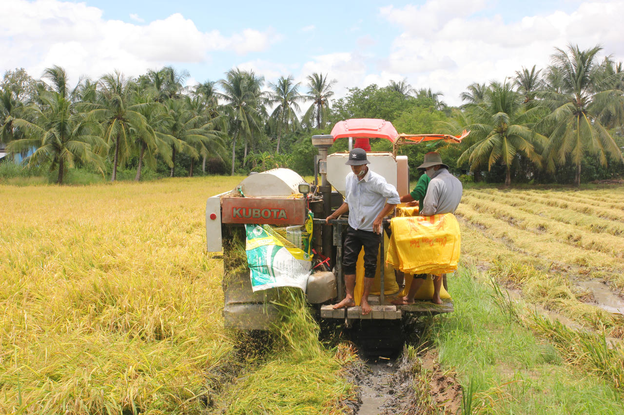 Vĩnh Lợi tập trung tháo gỡ khó khăn, đẩy mạnh phát triển sản xuất