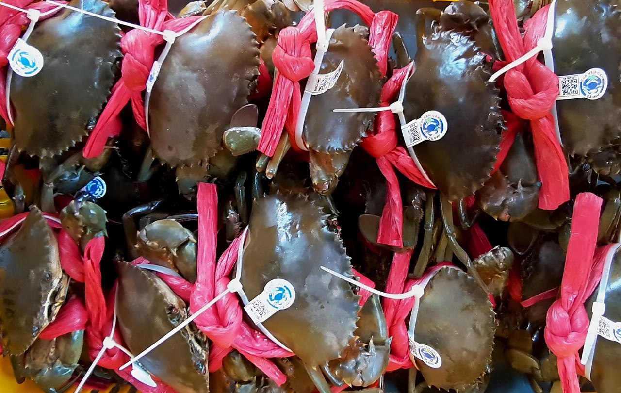 Cà Mau phấn đấu xuất khẩu đạt 1,25 tỷ USD