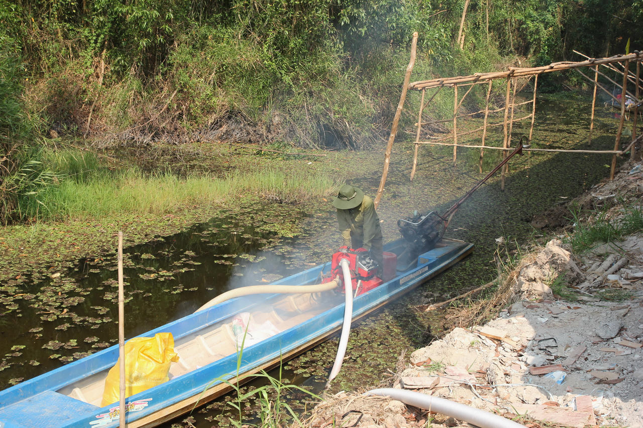 Diễn tập hiệp đồng chữa cháy rừng ở Cà Mau