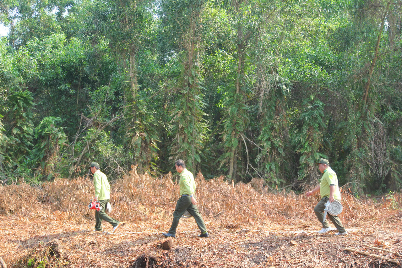 Diễn tập hiệp đồng chữa cháy rừng ở Cà Mau