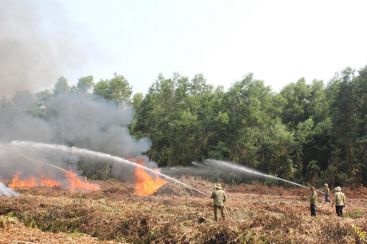 Diễn tập hiệp đồng chữa cháy rừng ở Cà Mau