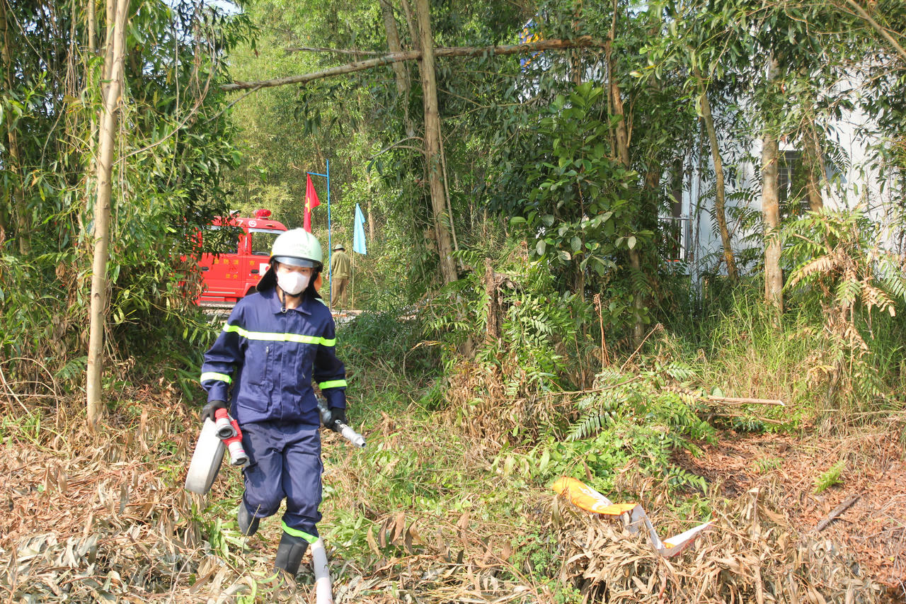 Diễn tập hiệp đồng chữa cháy rừng ở Cà Mau