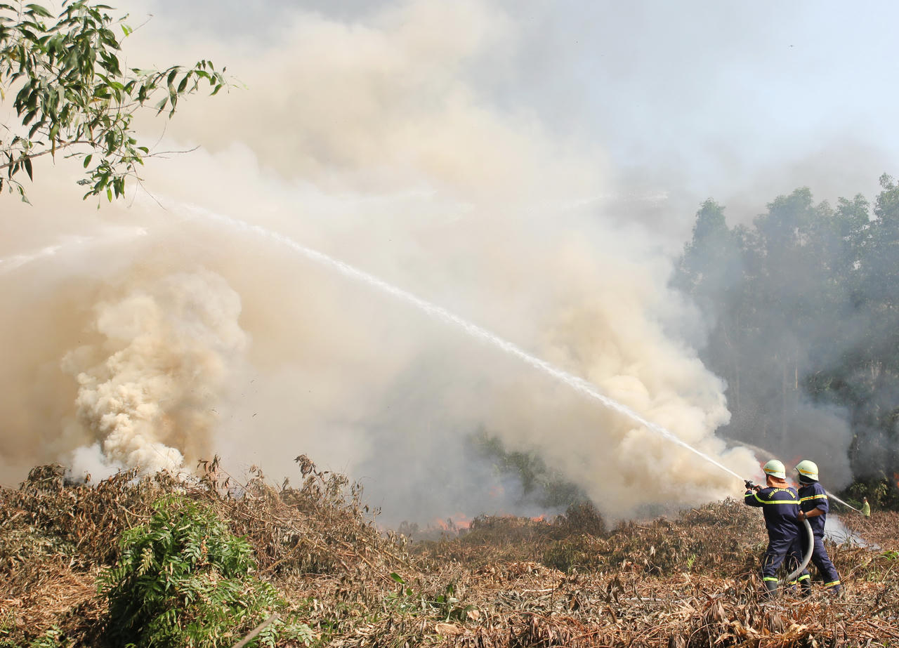 Diễn tập hiệp đồng chữa cháy rừng ở Cà Mau