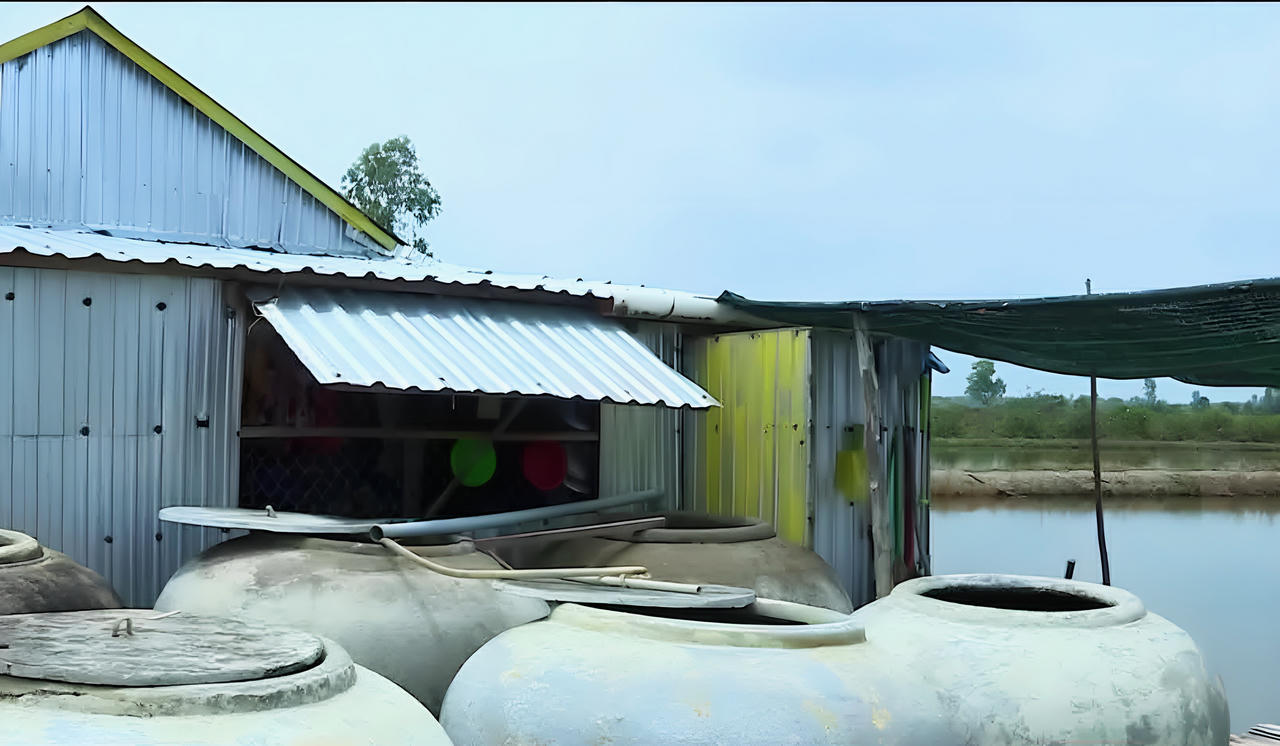 Khoảng 12.000 hộ dân ở Cà Mau nguy cơ thiếu nước sinh hoạt