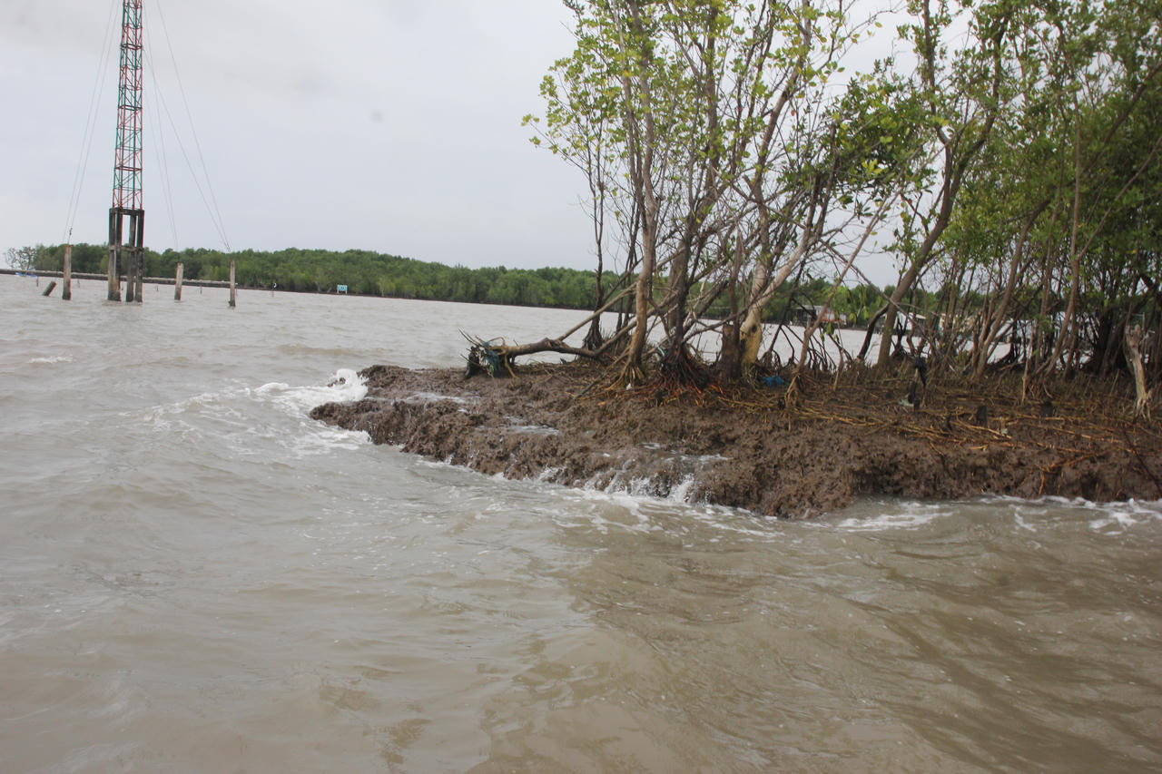 Cà Mau xây dựng Đề án phòng, chống sạt lở bờ biển, bờ sông