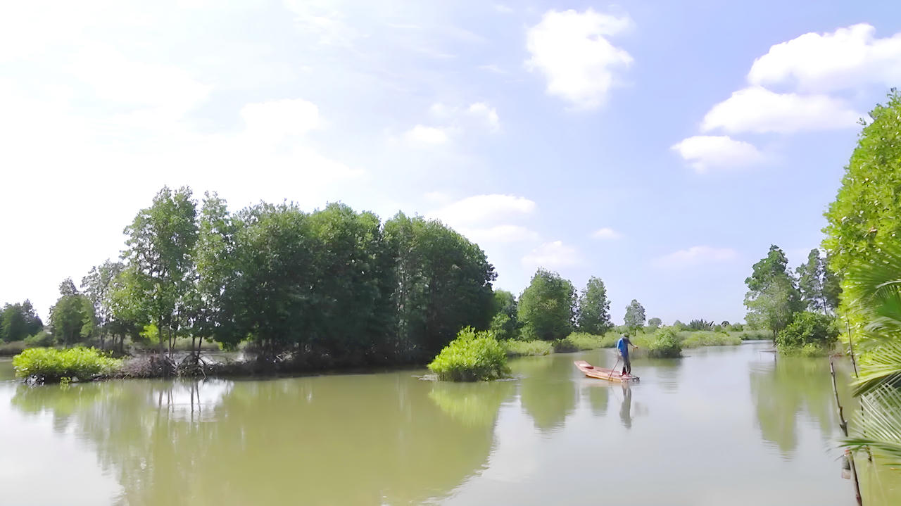 Nâng cao hiệu quả vùng nuôi tôm sinh thái ở Cà Mau