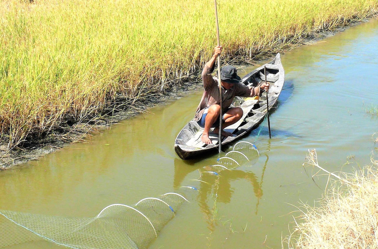 Thực hiện các giải pháp nông nghiệp thuận thiên cho nông dân ở ĐBSCL