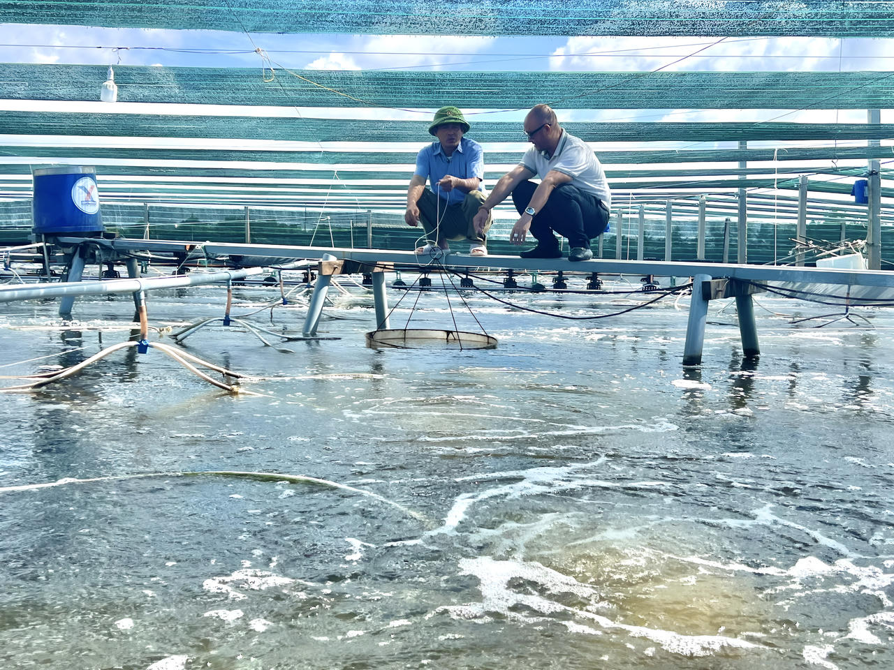 Chính quyền Bạc Liêu 'vào cuộc' gỡ khó' cho người dân nuôi tôm 