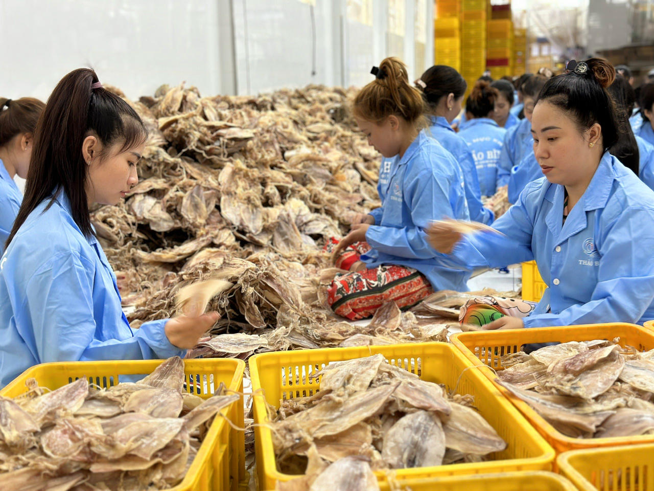 Thương mại điện tử Cà Mau thăng hạng