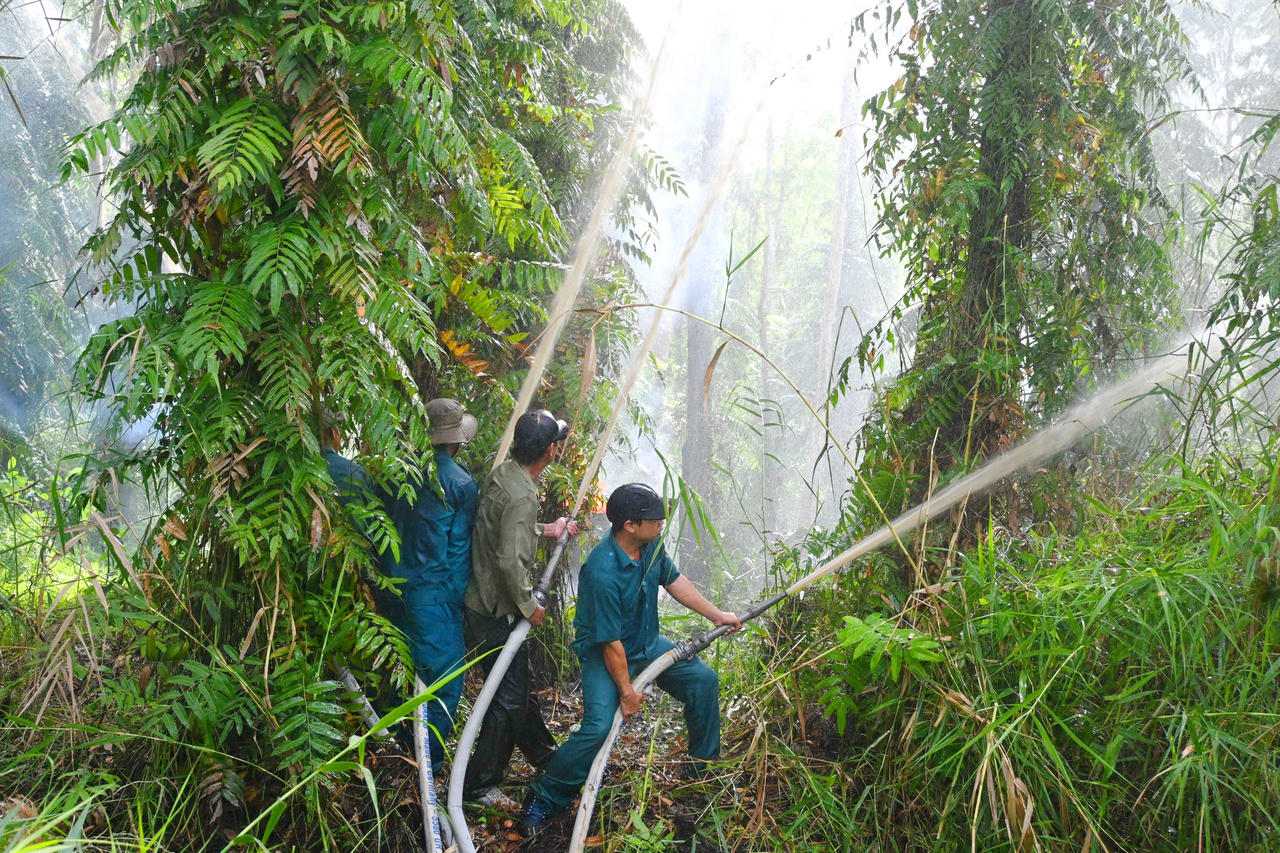 Cà Mau: Tăng cường công tác phòng cháy, chữa cháy rừng