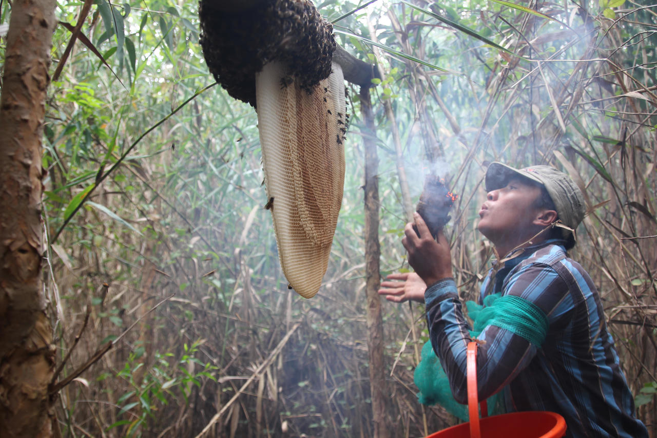 Cà Mau liên kết hợp tác phát triển du lịch với TP HCM và các tỉnh, thành ĐBSCL