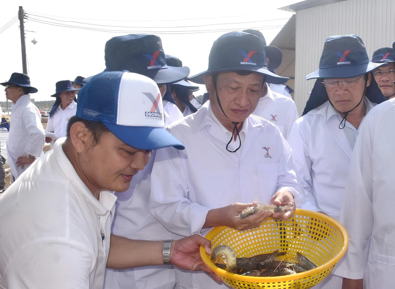 Ứng dụng công nghệ cao để phát triển thương hiệu tôm Bạc Liêu