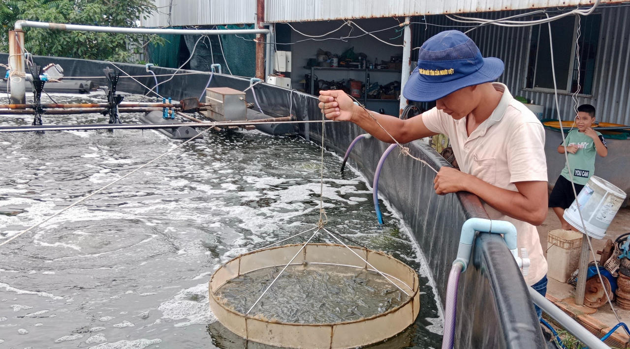 Ứng dụng công nghệ cao để phát triển thương hiệu tôm Bạc Liêu