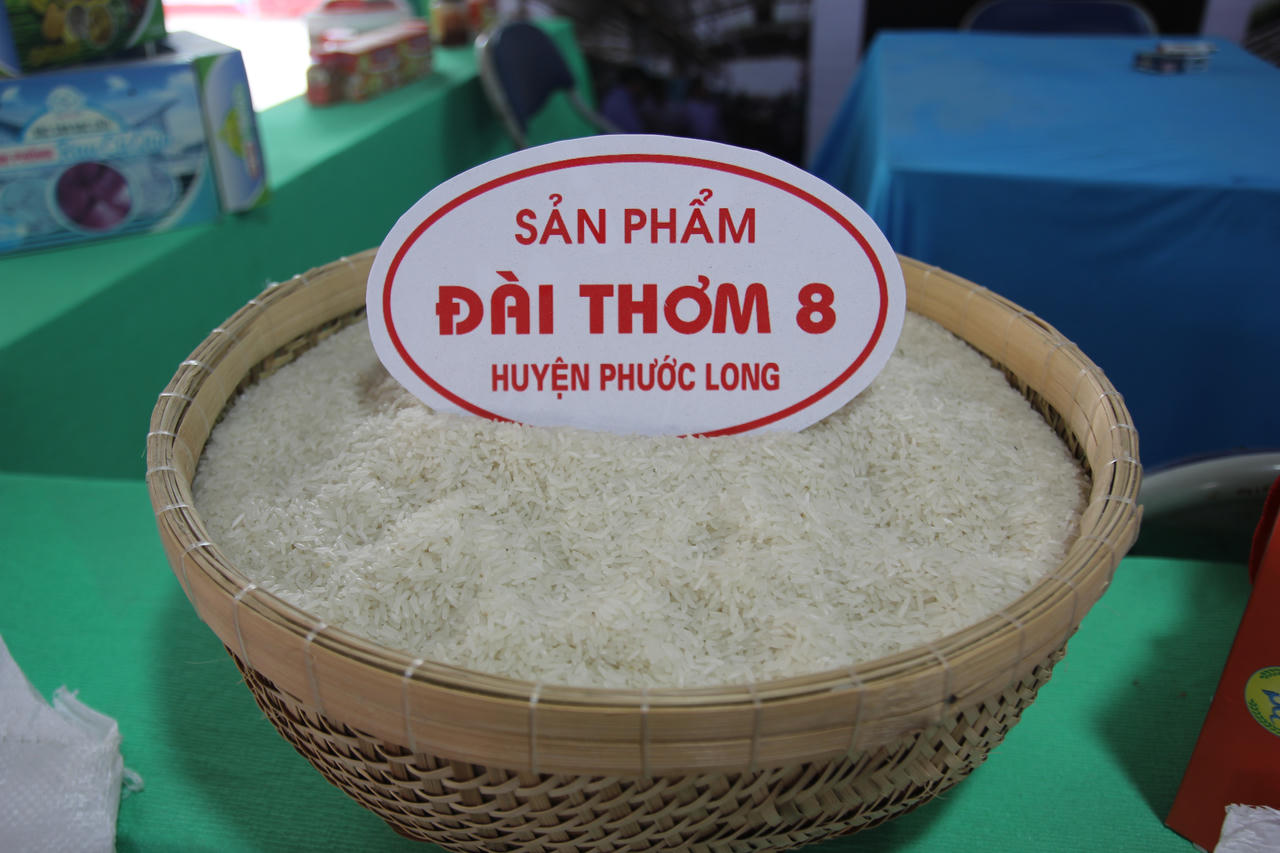 Bạc Liêu liên kết sản xuất để phát triển sản xuất - tiêu thụ nông sản 