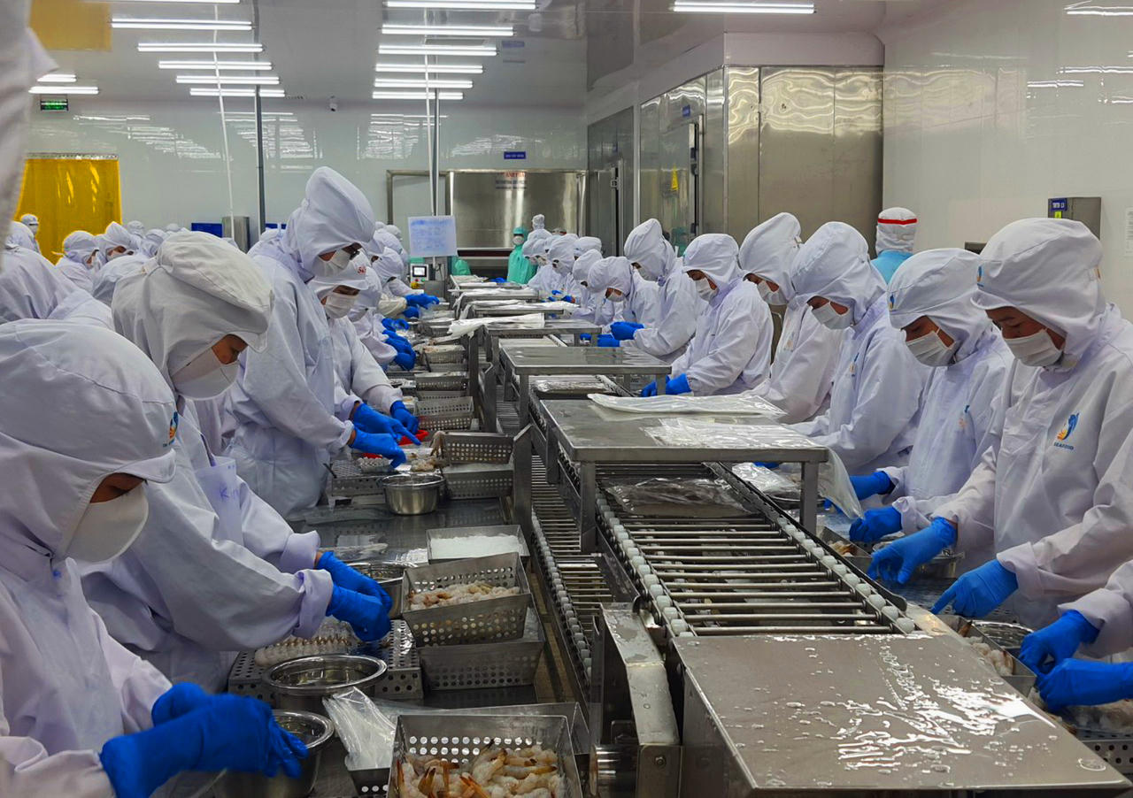 Bạc Liêu liên kết sản xuất để phát triển sản xuất - tiêu thụ nông sản 