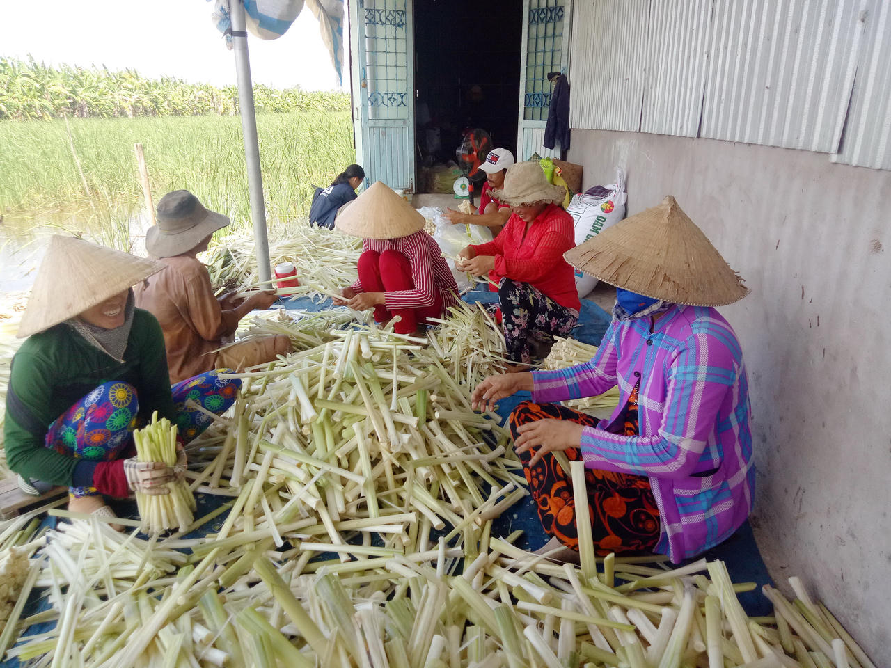 Bảo tồn và phát triển làng nghề ở Cà Mau
