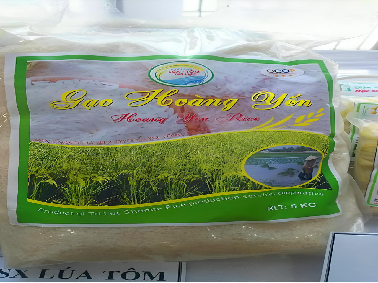 Cà Mau tăng cường công tác quản lý sản phẩm OCOP