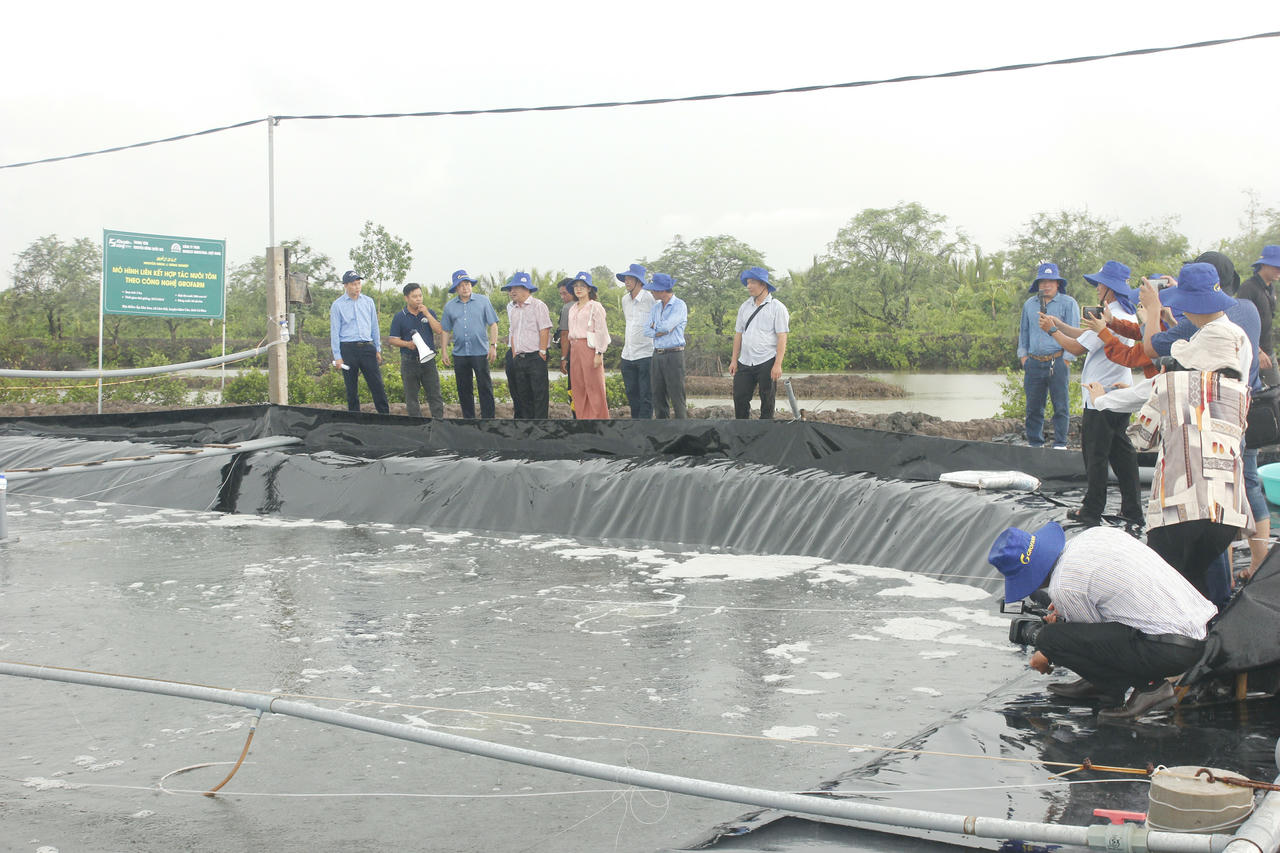 Nuôi tôm bền vững thích ứng với biến đổi khí hậu vùng ĐBSCL