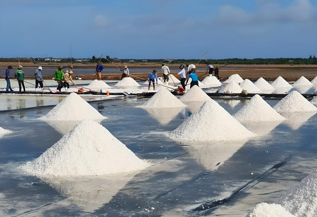 Nâng tầm giá trị hạt muối Việt Nam