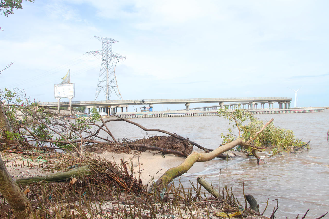 Sạt lở trên tuyến đê Biển Đông Bạc Liêu