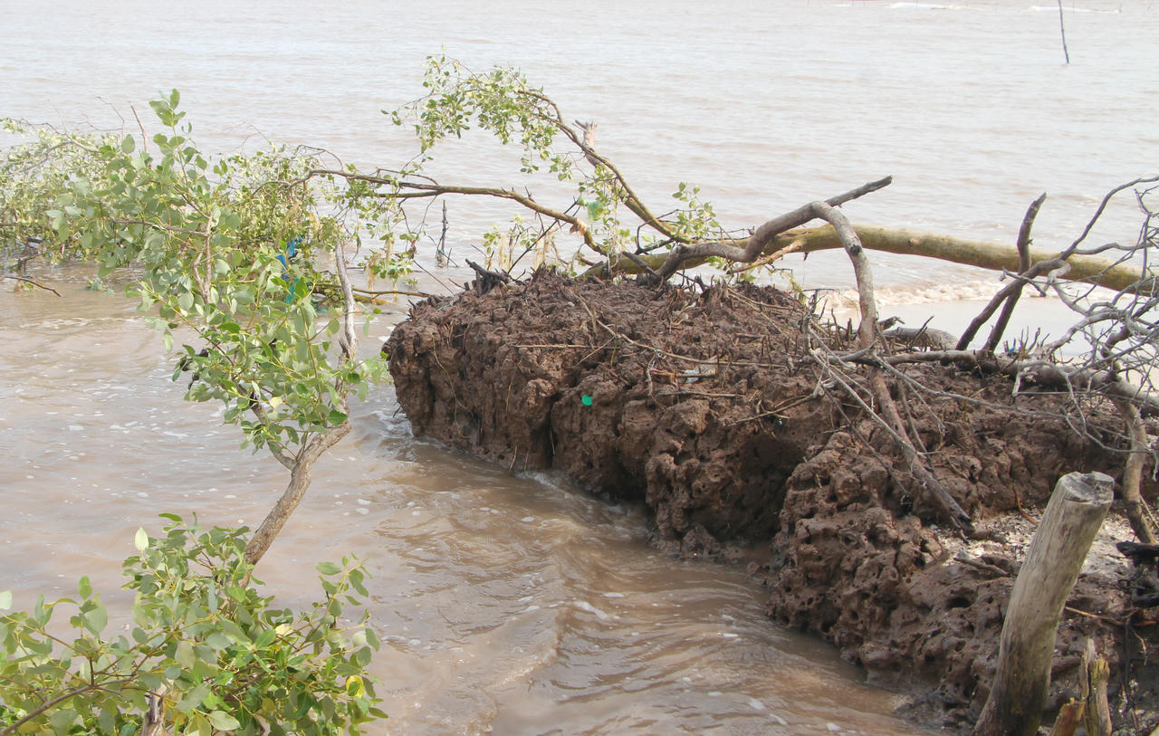 Chủ tịch Bạc Liêu chủ trì họp khẩn về sạt lở đê Biển Đông