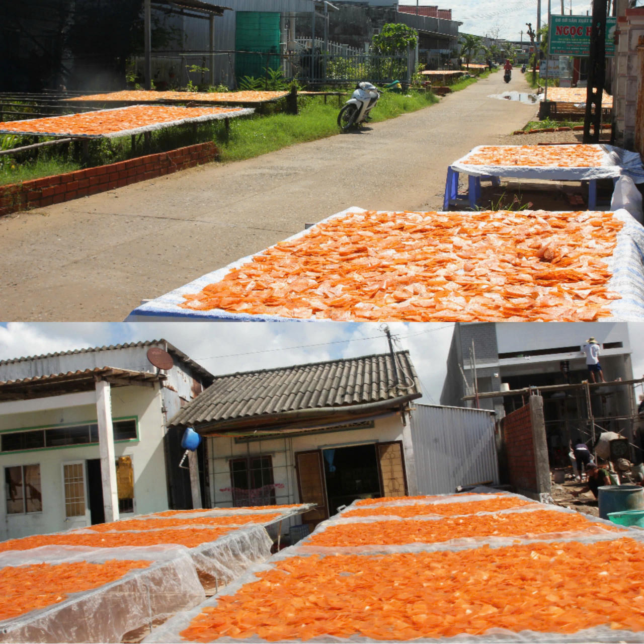 Phát triển sản phẩm OCOP từ tiềm năng và lợi thế của Cà Mau