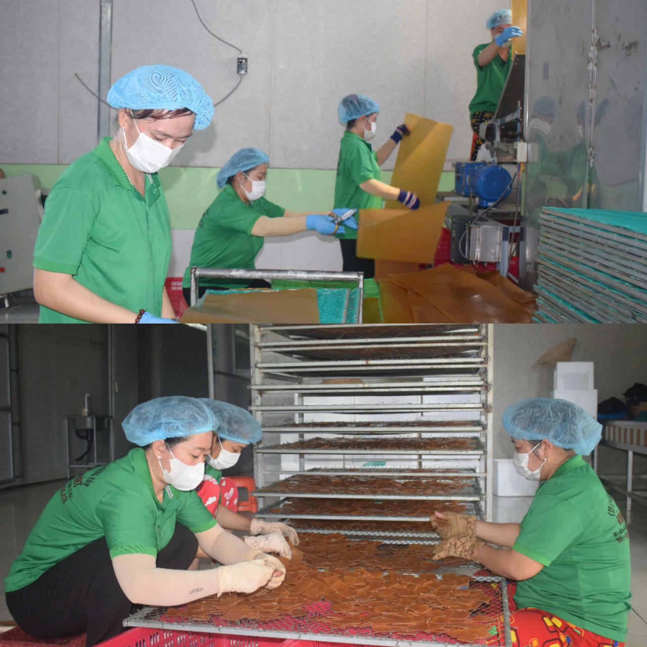 Phát triển sản phẩm OCOP từ tiềm năng và lợi thế của Cà Mau