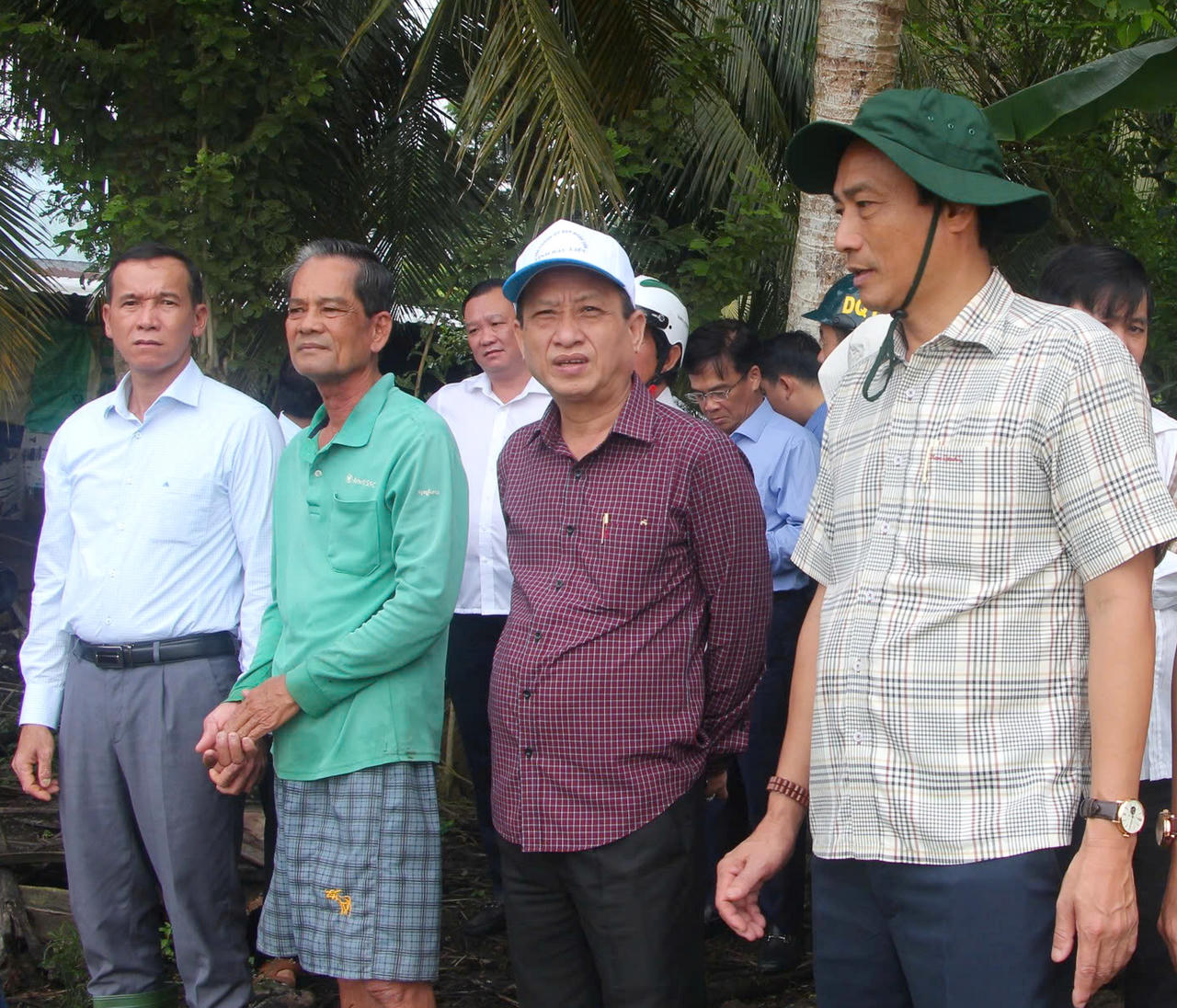 Hỗ trợ nông dân Bạc Liêu thu hoạch lúa Hè Thu bị đổ, ngã do mưa bão