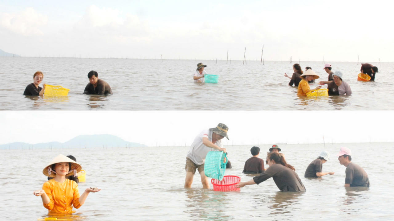 Khảo sát thực tế, giới thiệu điểm đến du lịch Cà Mau