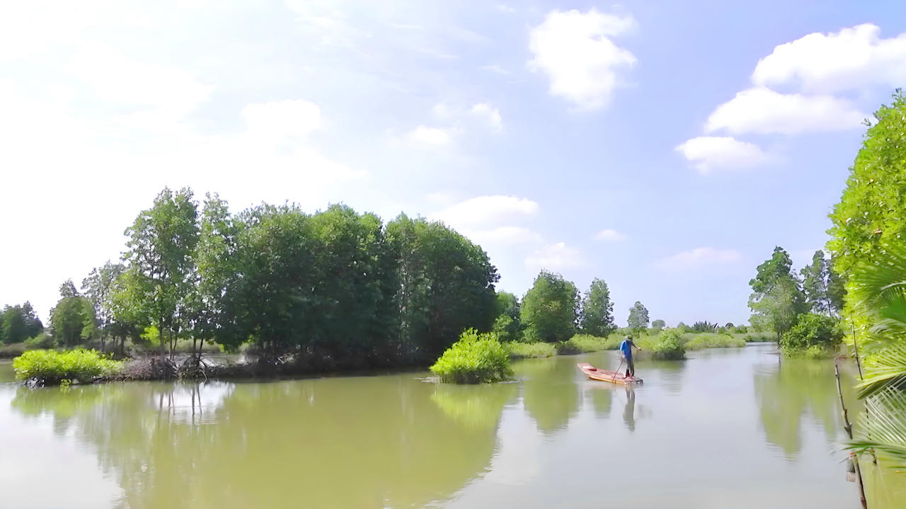 Mô hình nuôi tôm rừng sinh thái ở Cà Mau mang lại hiệu quả cao