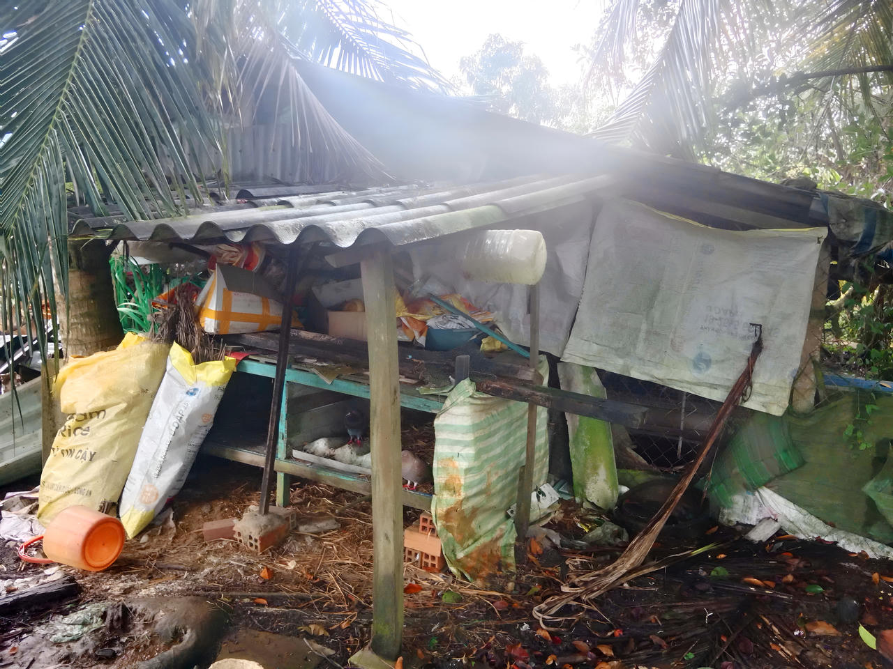 Cà Mau triển khai thực hiện xóa nhà tạm, nhà dột nát